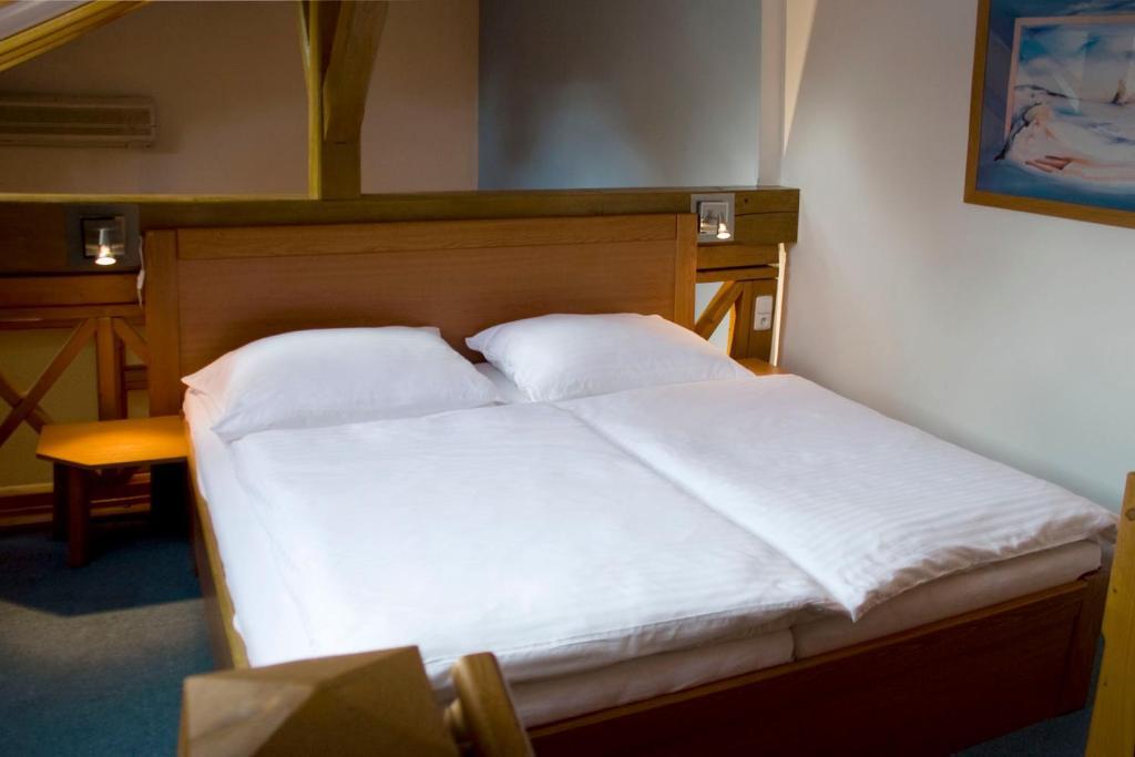 Hotel Zamecek Pod Hradem Stary Jicin 111 Værelse billede